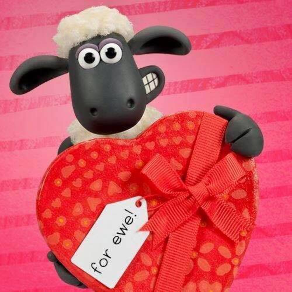 Meet your Posher, Dina